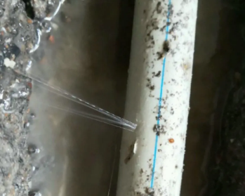 绥江卫生间测漏水多少钱